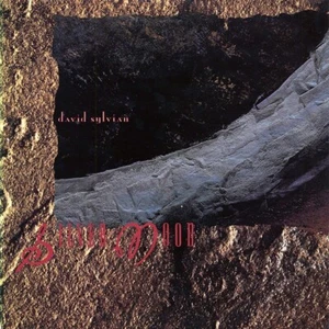 DAVID SYLVIAN / JAPAN ‘Silver Moon’ (1986 UK 12" VS895-12) Rare misprint. - Picture 1 of 2