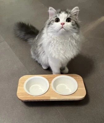 Katzen & Klein Hunde Napf / Keramik/ Bambus / 2 er Schüssel - Bild 1 von 3