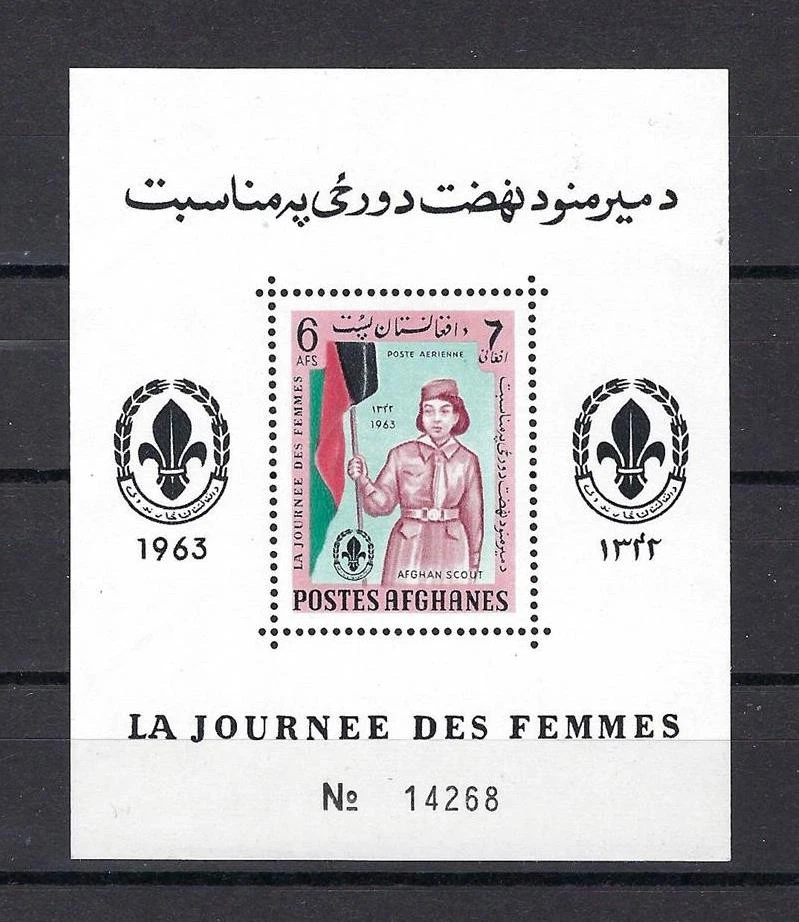 Afghanistan 1963 Sc# 668N airmail Afghan Scout Girl Scout souv sheet MNH - Image 1 of 1
