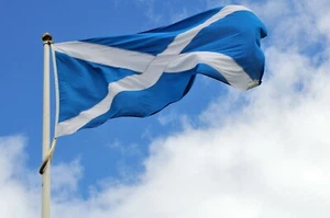 Sewn St Andrews Saltire - Picture 1 of 2