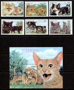 CONGO  (BRAZZAVILLE) -1999 – CATS -VF** - Picture 1 of 1