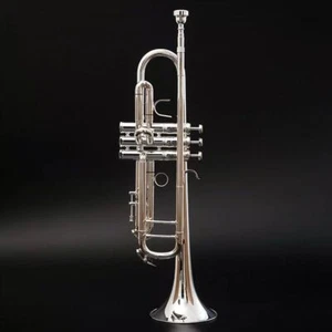 LT180S-37 Bb trumpet gold color/silver color/phosphor copper trumpet with case - Picture 1 of 9
