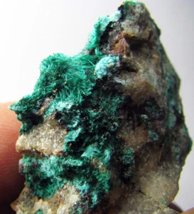 BROCHANTITE BRILLIANT RADIAL GREEN CRYSTALS on MATRIX - CHILE....LOS AZULES MINE - Picture 1 of 12