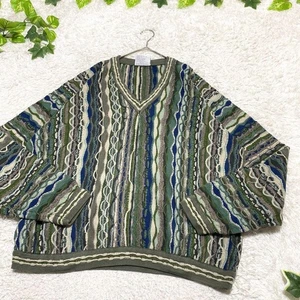 COOGI sweater 3D knit 100% Cotton Size L Multicolor V-Neck Body width 62cm - Picture 1 of 11
