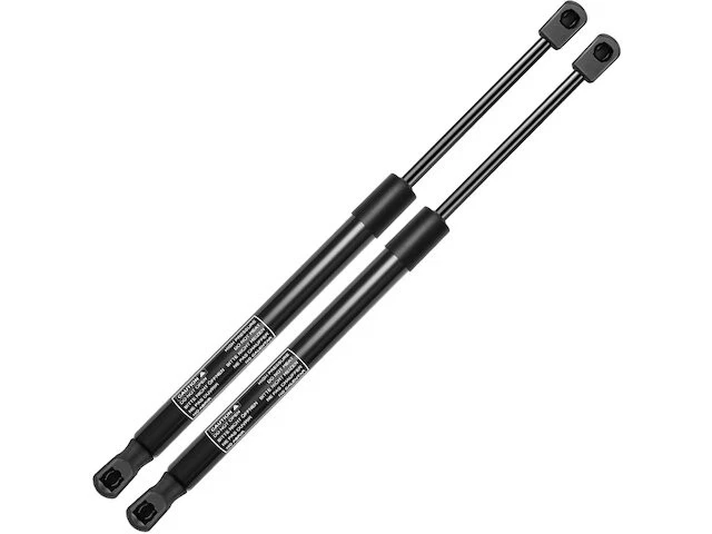 Juego de puntales de puerta trasera para Ford Freestyle 2006-2007 3,0 L V6 NV685DP Foto 1 de 1