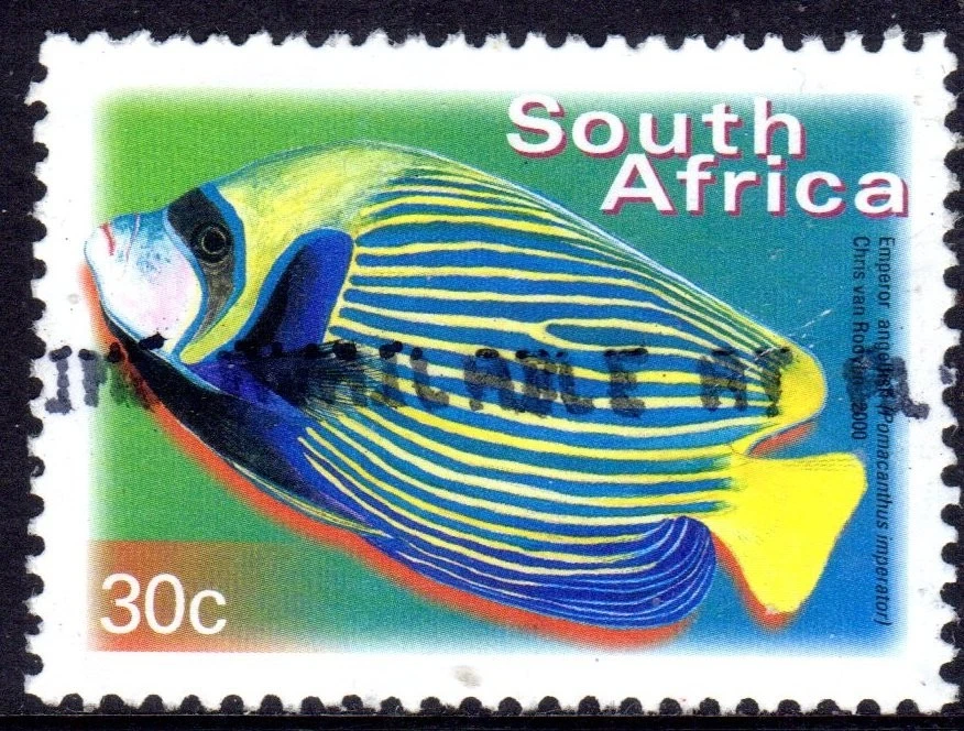 SOUTH AFRICA used     24/11 - Image 1 of 1