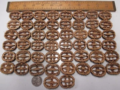 Black Walnut Shell Slices 1-1/4" to 1-3/8" 1/4" Thick 50 Count Resin Table Bar - Image 1 of 2