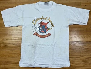 CROWDED HOUSE Farewell To The World 1996 Sydney CONCERT T-SHIRT Large FINN VTG - Picture 1 of 4