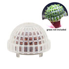 Aquarium Moss Ball Filter Purify Multifunction Tank Supplies With Mineral Balls