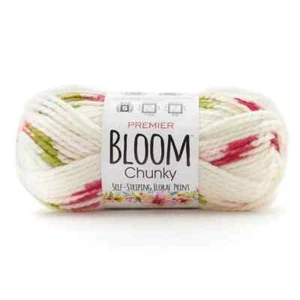 Premier Yarns Bloom Chunky - Baby's Breath 1114-17 - Picture 1 of 1