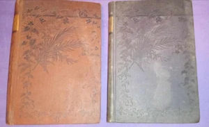 Bertha M Clay A Pair of Blue Eyes From out of the Gloom 2 Antique books - Bild 1 von 9