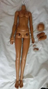 Muñeca 1/3 BJD Niña Supia Cuerpo Femenino Piel Bronceada - Solo Cuerpo (Sin cabeza) DHL Gratis - Imagen 1 de 3