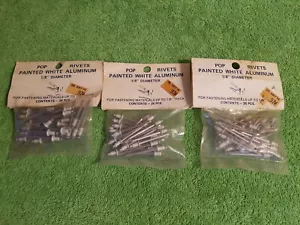 75 remaches pop vintage pintados de aluminio blanco de 1/8 de diámetro ¡HECHOS EN EE. UU.!¡! - Imagen 1 de 2