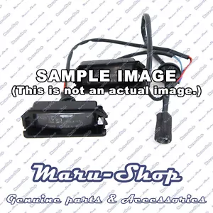 Lámpara de luz de matrícula y cableado para 07+ Hyundai H-1/iLoad, TwinSwing DR - Imagen 1 de 1