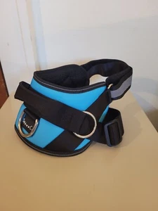 Neu ohne Etikett ShawnCo türkis schwarz Hundegeschirr, verstellbar, reflektierend, gepolstert, Größe M - Bild 1 von 5