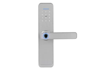 Serratura con maniglia elettronica e controllo accessi, SecureEntry-HL200 - Foto 1 di 7