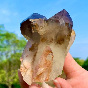 238G Natural Citrino Humo Color Cuarzo Racimo Cristal Muestras Mineral Heal - Imagen 1 de 24