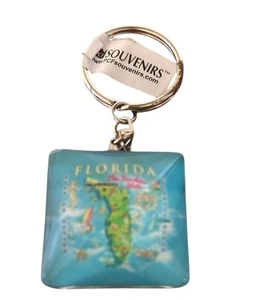FLORIDA STATE SCHLÜSSELANHÄNGER - BRANDNEUER SCHLÜSSELANHÄNGER -2" TROPFEN- KUNSTSTOFFBLASE QUADRATISCH - Bild 1 von 2