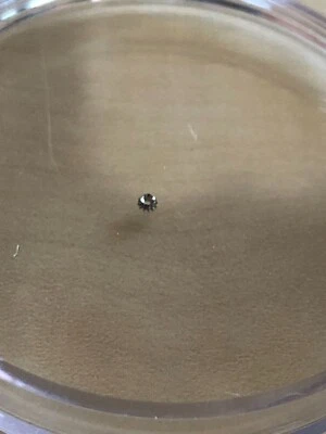 BREGUET Cal 582 Roda Coroa Intermediária Lemania 1350 1355 1377 Novo na caixa - Imagem 1 de 2