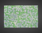 Vintage French Hand-Marbled Paper 76x50cm – Green Spots – Frameable