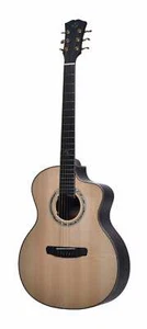 Dowina Cocobolo 3C GACE + L.R Baggs Anthem TOP Akustische Gitarren mit Koffer - Bild 1 von 2