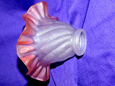 anienne tulipe a colorette  rose  pour griffe - Photo 1/4