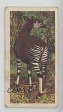 1962 Brooke Bond African Wild Life Tea Okapi #33 z6d
