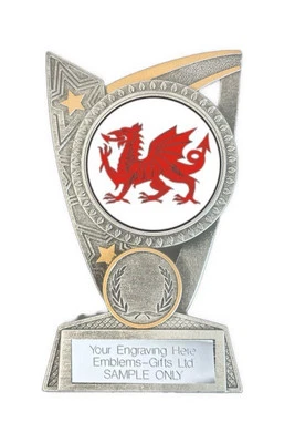 SMARTBADGE Welsh Wales Dragon Award (TR7) 125mm Resin Trophäe graviert gratis