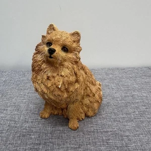 Figura de resina de Pomerania de colección bigotes de Martha Carey 5 pulgadas 1986 - Imagen 1 de 9
