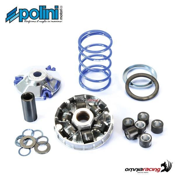 Polini Variator D.14,8 APRILIA Scarabeo 50 Street 2T Piaggio SR 50 R-Factory - Immagine 1 di 4