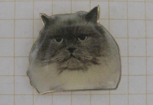 KATZE / CAT / KATER .......................................... Comic Pin (228h) - Picture 1 of 1