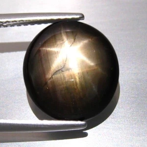 9.97CT 12x11mm MARVELOUS 6 RAYS SPARKLING NATURAL BLACK STAR SAPPHIRE GEMSTONE - Picture 1 of 3