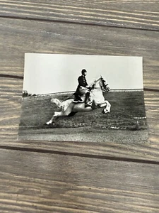 Cartolina d'epoca scuola di equitazione spagnola Vienna di cavaliere equitazione su cavallo bianco - Foto 1 di 2