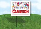 CAMERON HAPPY BIRTHDAY BALLOONS 18 in x 24 in Yard Sign Road Sign with Stand