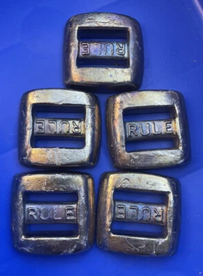 5x 2lbs Belt Scuba Dive Weights - image 1 of 3