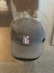 Patagonia NEW YORK CITY NYC Cap Hat Exclusive Adjustable Limited Edition - Picture 1 of 3