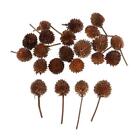 50pcs Dried Flowers Dry Fruits Accents Christmas Decorations Table Ornaments