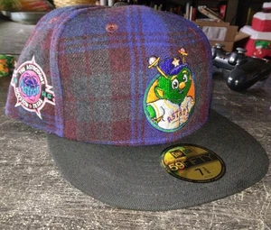 Houston Astros MLB New Era 59Fifty Mascot Plaid Orbit Cap Hat Size 7⅜ Rare  - Picture 1 of 6