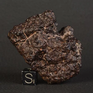 Météorite NWA 14161 de 87,79 g et son Livret Chondrite Carbonée Type CV3 - Picture 1 of 12