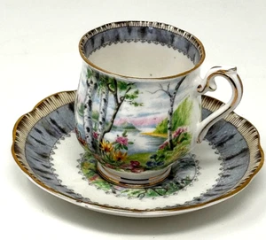 Royal Albert Bone China England SILVER BIRCH Demitasse Espresso Cup & Saucer NEW - Picture 1 of 21