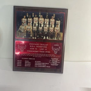 Chicago Bulls Plaque 1995-1996 national basketball association WORLD CHAMPIONS - Picture 1 of 6