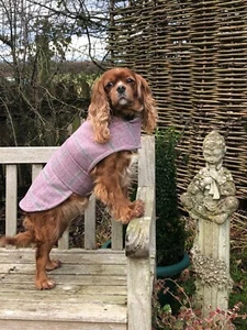 MINKEYS TWEED BESPOKE YORKSHIRE TWEED DOG COAT SASHA (pink) 16 inch FLEECE LINED - Picture 1 of 11