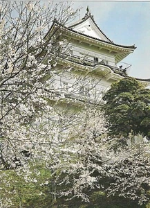 Vintage Japan Chrome Postcard Cherry Full Bloom Odawara Castle near Hakone - Picture 1 of 2