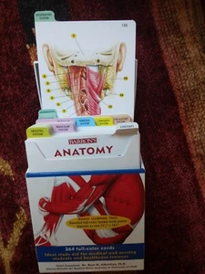 Barron's Anatomy Flash Cards - Picture 1 of 5