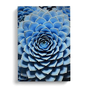 Succulent Op Canvas Wall Art Print Framed Picture Home Decor Living Room Bedroom - Picture 1 of 4
