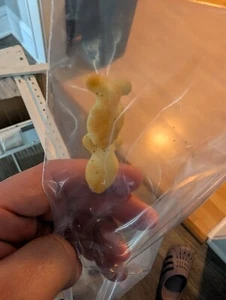 goldfish crackers attached rare - Picture 1 of 3