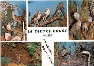 72-LE TERTRE ROUGE-N�3737-C/0061 - Picture 1 of 2