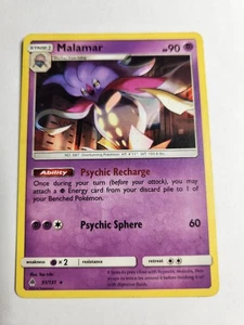 Malamar 51/131 Sm-Forbidden Light Regular - Bild 1 von 2