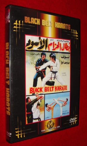 Vintage 1977 Black Belt Karate Chinese Martial Arts DVD Action Movie Billy Chong Cover