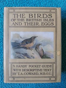 Wayside & Woodland Birds, Series 1, RARE photocopied DJ, DW of Alpine Accentor - Bild 1 von 22